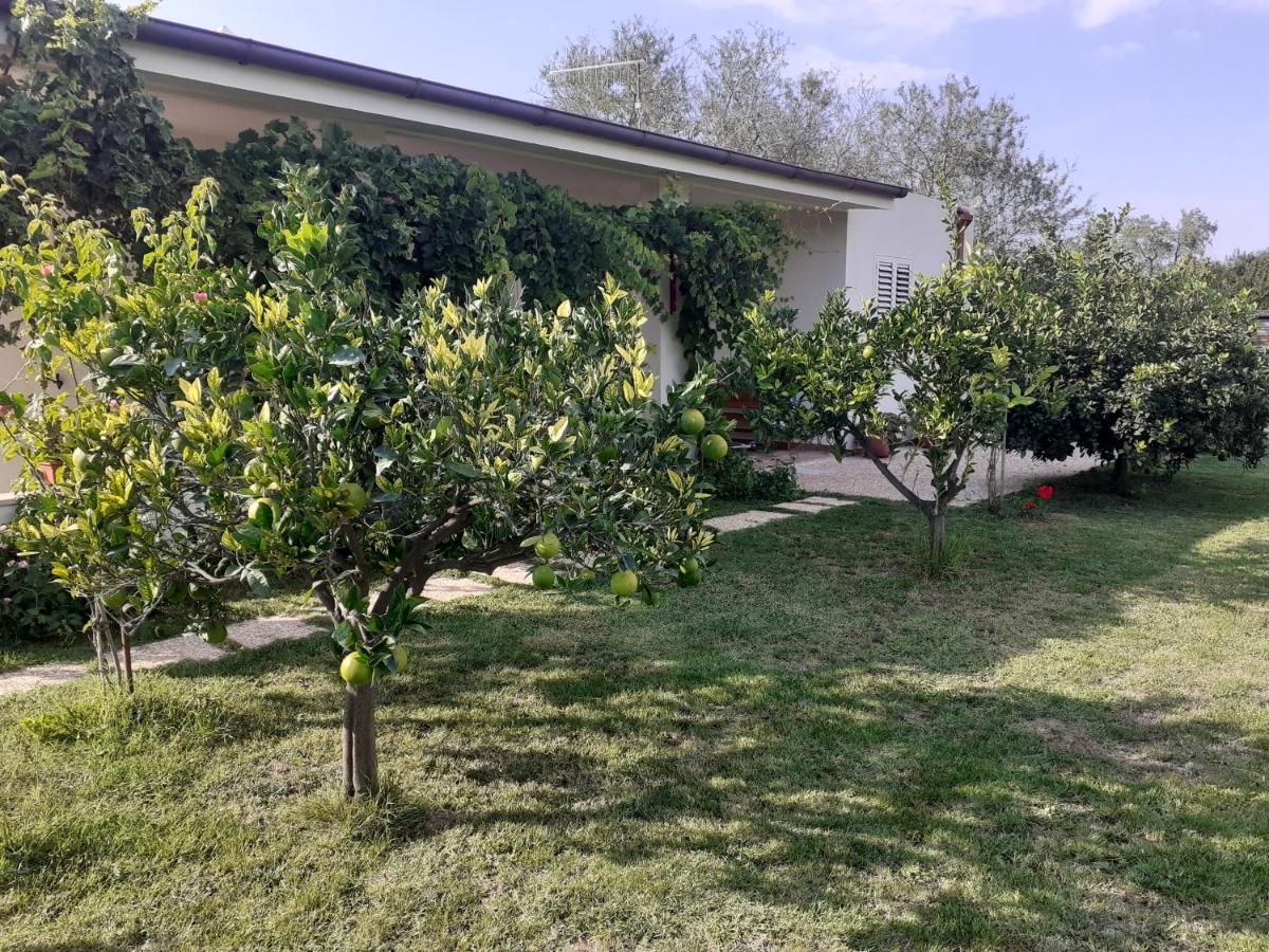 Villa Pusortu Orosei Εξωτερικό φωτογραφία